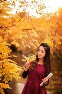 芭比之蝴蝶仙子与精灵公主